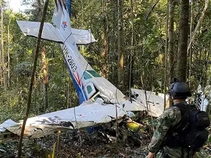 Ini Penyebab Pesawat Jatuh di Hutan Amazon dengan 4 Anak Selamat Ini Penyebab Pesawat Jatuh di Hutan Amazon dengan 4 Anak Selamat