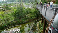 Saat Petugas Kebun Binatang Digigit Tapir yang Terancam Punah