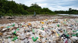 Jarum Suntik dan Limbah Medis Berlumuran Darah Berceceran di Pantai Venezuela