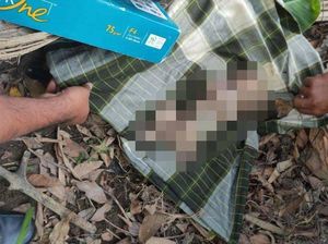 Warga Lombok Barat Temukan Mayat Bayi Dikerumuni Semut di Pinggir Sungai