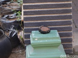 Pensiunan Polisi di Ponorogo Temukan Granat Saat Cangkul Singkong