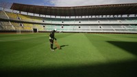 Perawatan rutin tersebut dilakukan untuk persiapan lapangan jelang pertandingan FIFA Matchday antara Timnas Indonesia melawan Timnas Palestina pada Rabu (14/6/2023).  