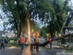 Pohon Tumbang, Jalan Mongonsidi Medan Ditutup Sementara Pohon Tumbang, Jalan Mongonsidi Medan Ditutup Sementara
