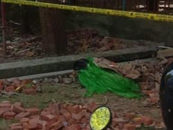 Kesaksian Penemu Potongan Kaki Korban Mutilasi di Surabaya: Saya Azani