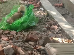 5 Fakta Terbaru Mutilasi Surabaya-Sidoarjo Diduga Dilakukan Orang Dekat Korban