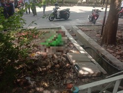 Potongan Kaki Mayat Termutilasi Terbungkus Plastik Hijau Dalam Koper