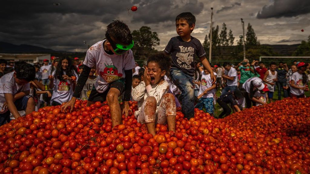 Serunya Festival Perang Tomat di Kolombia Serunya Festival Perang Tomat di Kolombia