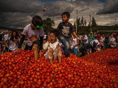 Serunya Festival Perang Tomat di Kolombia