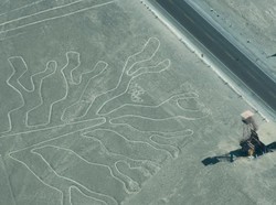 AI Temukan Garis Nazca Misterius Berusia Ribuan Tahun