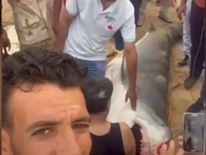 Ingat Bule Rusia yang Dimakan Hiu di Mesir? Hiu Itu Kini Dipukuli Sampai Mati Ingat Bule Rusia yang Dimakan Hiu di Mesir? Hiu Itu Kini Dipukuli Sampai Mati