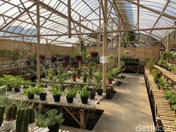 Serunya Belajar Farming di Jendela Alam Bandung, Anak Pasti Suka