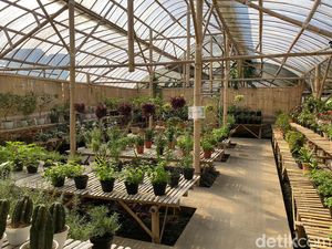 Serunya Belajar Farming di Jendela Alam Bandung, Anak Pasti Suka Serunya Belajar Farming di Jendela Alam Bandung, Anak Pasti Suka