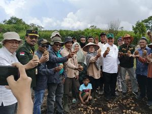 Kementan Pastikan Produksi Sayuran di Solok Memadai Jelang Idul Adha Kementan Pastikan Produksi Sayuran di Solok Memadai Jelang Idul Adha
