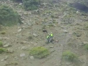 Dikejar Kambing Liar, Nenek Ini Lompat dari Tebing 19 Meter