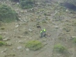 Dikejar Kambing Liar, Nenek Ini Lompat dari Tebing 19 Meter