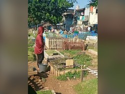 Viral TPU Prumpung Jaktim Jadi Kandang Hewan Warga
