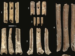 Arkeolog Temukan Suling Berusia 12.000 Tahun di Israel