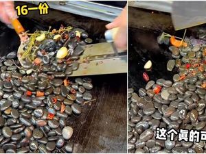 5 Makanan Pakai Bahan di Luar Nalar! Tumis Batu Pedas hingga Rice Bowl Cicak 5 Makanan Pakai Bahan di Luar Nalar! Tumis Batu Pedas hingga Rice Bowl Cicak