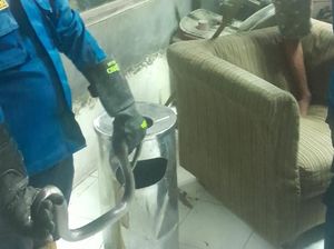 Saat Ular Kobra dan Warga Sama-sama Kaget di Bogor