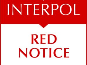 Dewi Astutik Jadi Buronan Interpol, Ini Arti Red Notice Dewi Astutik Jadi Buronan Interpol, Ini Arti Red Notice