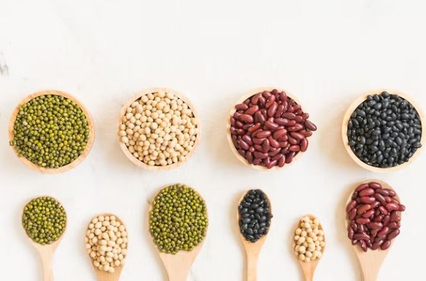 Kacang-kacangan/ foto: Freepik/ lifeforstock Kacang-kacangan