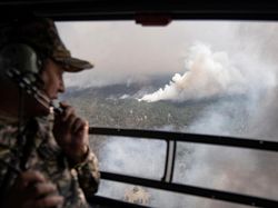 Kebakaran Hutan di Kazakhstan Tewaskan 14 Jiwa