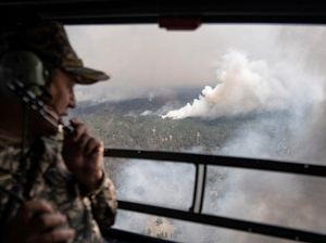Kebakaran Hutan di Kazakhstan Tewaskan 14 Jiwa