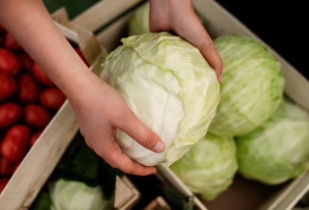 Kubis/ foto: Freepik/ freepik Kubis