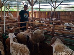 Permintaan Hewan Kurban di Klaten Masih Sepi, Diduga Ini Sebabnya