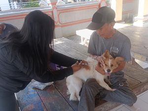 Disperpa Badung Dorong Desa-Kelurahan Bentuk Tim Siaga Rabies Disperpa Badung Dorong Desa-Kelurahan Bentuk Tim Siaga Rabies