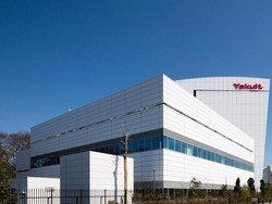 Tak Hanya Melancarkan Pencernaan, Konsumsi Probiotik Juga Bisa Atasi Stres