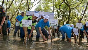 Jaga Kelangsungan Lingkungan Hidup Lewat Tanam 5.000 Bibit Mangrove