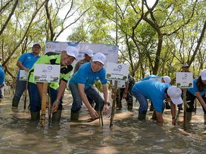 Jaga Kelangsungan Lingkungan Hidup Lewat Tanam 5.000 Bibit Mangrove Jaga Kelangsungan Lingkungan Hidup Lewat Tanam 5.000 Bibit Mangrove