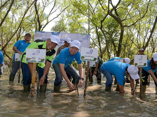 Jaga Kelangsungan Lingkungan Hidup Lewat Tanam 5.000 Bibit Mangrove