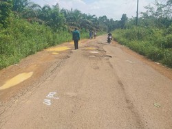 Sedia Anggaran Rp 3 M, Pemda Bangka Barat Siap Perbaiki 13 Km Jalan Kabupaten