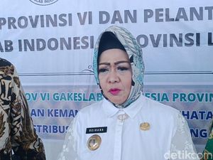 KPK Tak Temukan Kejanggalan Hartanya, Kadinkes Lampung Bilang Begini