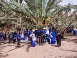 Mengikuti Wisata Kebun Kurma di Madinah