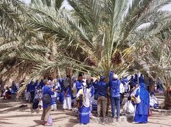 Kebun Kurma Fahd, Bebas Cicip Kurmanya Nabi