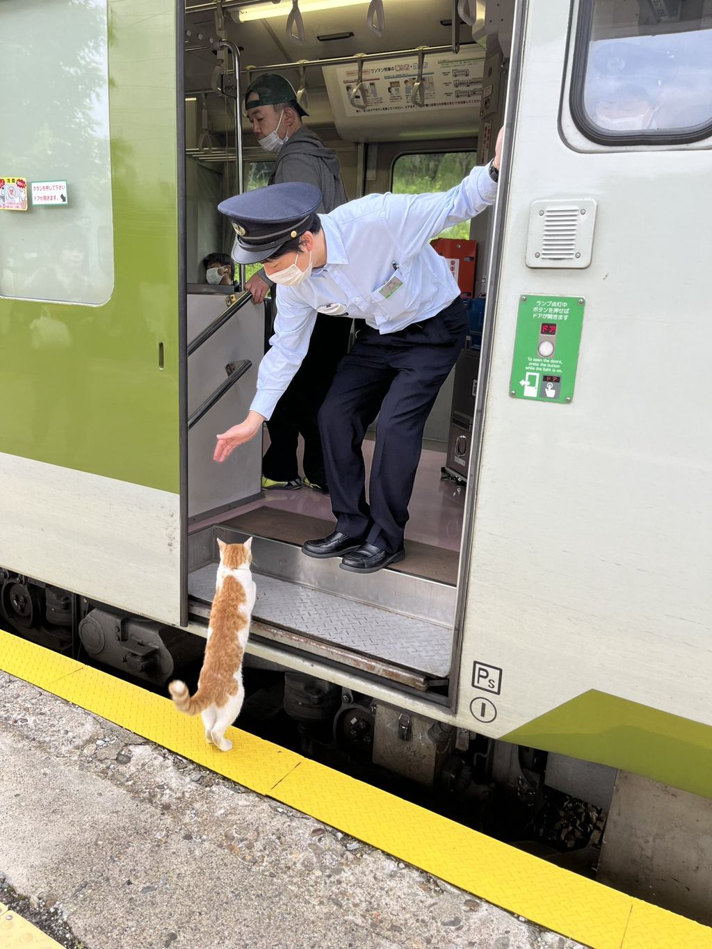 Kucing yang ingin menaiki kereta di Jepang