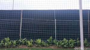 Foto Kain Hitam di Sekeliling Lapangan Latihan Timnas Indonesia