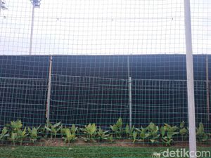 Foto Kain Hitam di Sekeliling Lapangan Latihan Timnas Indonesia Foto Kain Hitam di Sekeliling Lapangan Latihan Timnas Indonesia