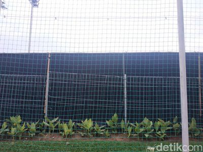 Foto Kain Hitam di Sekeliling Lapangan Latihan Timnas Indonesia