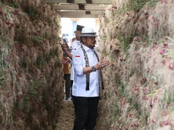 Mentan Dorong Pengembangan Pertanian Terpadu Kawasan Hortikultura di Solok