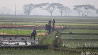 Melihat Pasukan Tandur dari Bandung