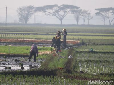 Melihat Pasukan Tandur dari Bandung