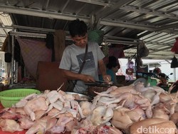 Jelang Idul Adha, Harga Daging Ayam dan Bahan Pokok Naik di Pangkalpinang