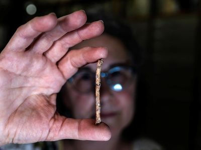 Penampakan Seruling dari Tulang Berusia 12 Ribu Tahun di Yerusalem