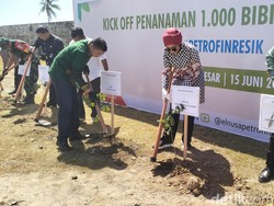 Kurangi Emisi Karbon, Benteng Iskandar Muda Ditanami Pohon Trembesi