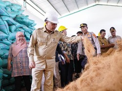 Puluhan Ton Limbah Kelapa di Muba Jadi Cuan, Begini Caranya