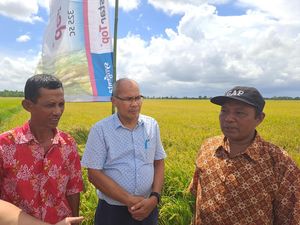 Strategi Wilmar Padi Bantu Produktivitas Petani Sumsel Strategi Wilmar Padi Bantu Produktivitas Petani Sumsel